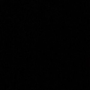 Meet your Posher, Latorya